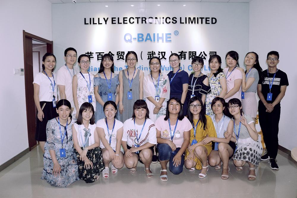 Lilly Electronics Team Photo